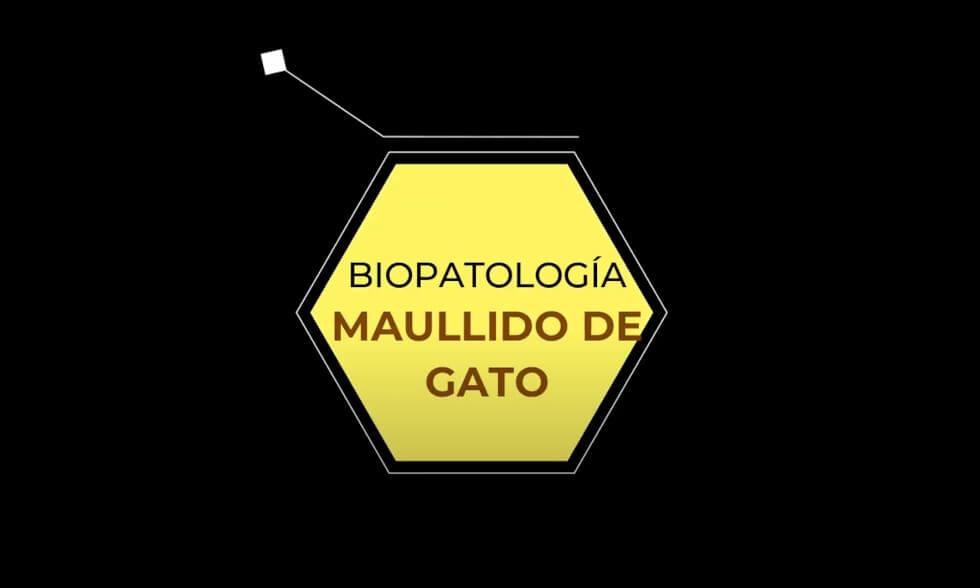 Entrevista a Jenifer, mamá de la Fundación.