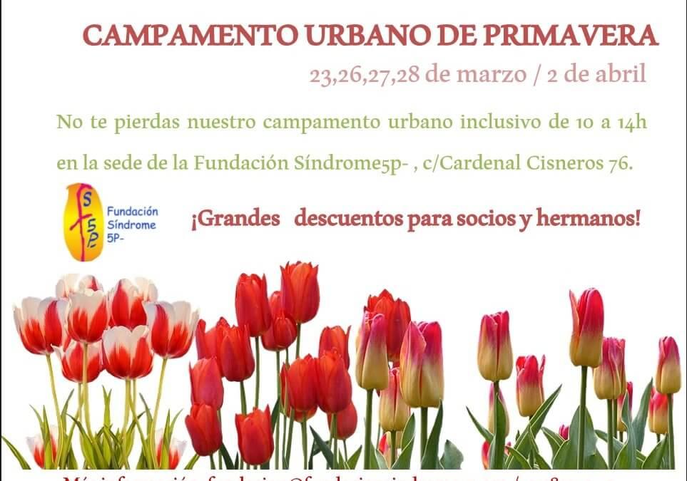Campamento de primavera