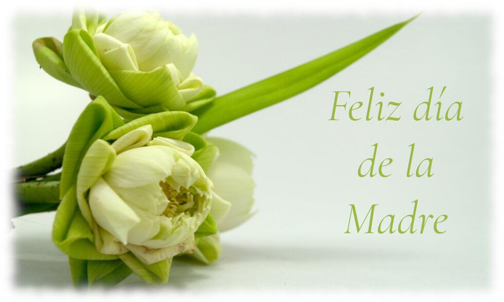 Felicidades a todas las mamás