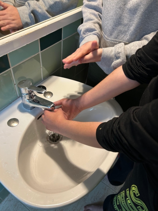 Agradecimiento a la Diputación de Alicante «Programa Aprendiendo Capacidades»