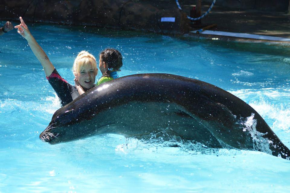 Nuestros menores 5p- en Terapia con Leones Marinos