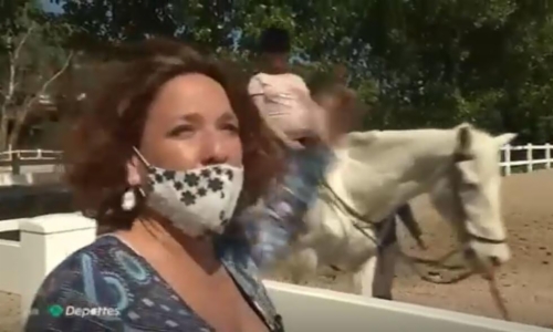 Beneficios de la Equinoterapia