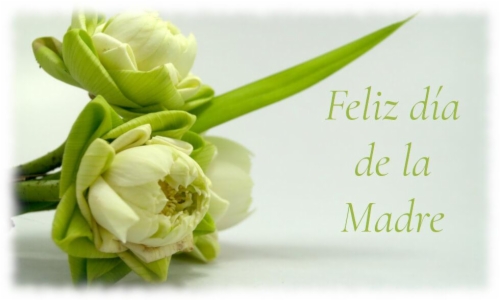 Felicidades a todas las mamás