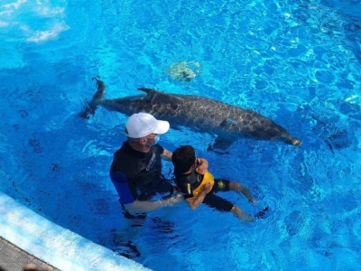 Vuelve la delfinoterapia a la Fundación 5p