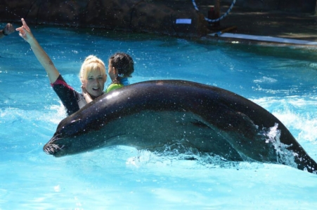 Nuestros menores 5p- en Terapia con Leones Marinos