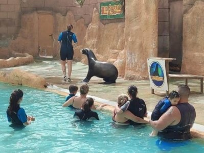 Hemos disfrutado de un baño con leones marinos gracias a la Fundación Río Safari. Nuestro mayor agradecimiento.