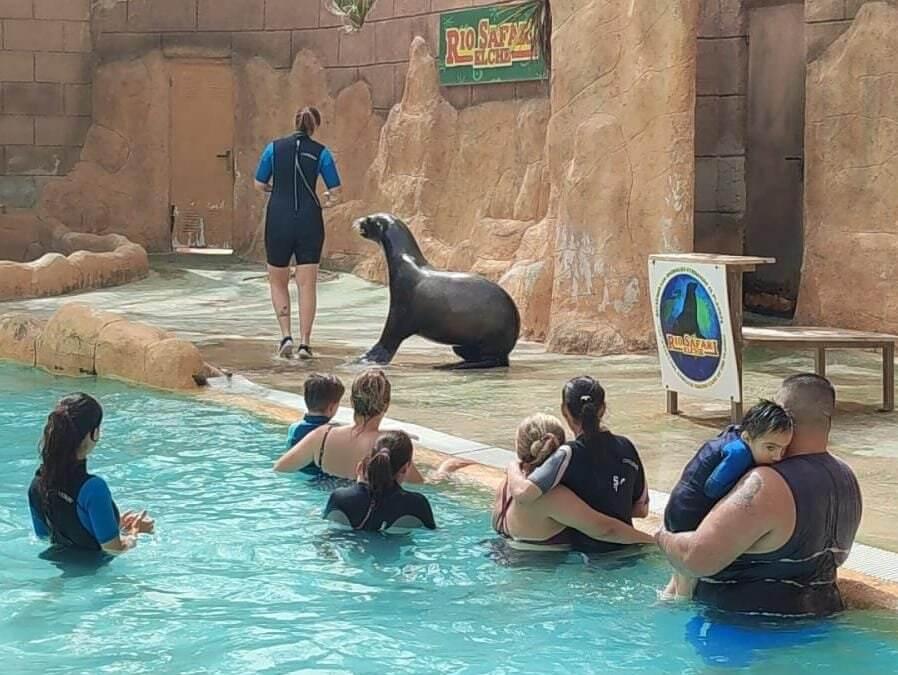 Hemos disfrutado de un baño con leones marinos gracias a la Fundación Río Safari. Nuestro mayor agradecimiento.