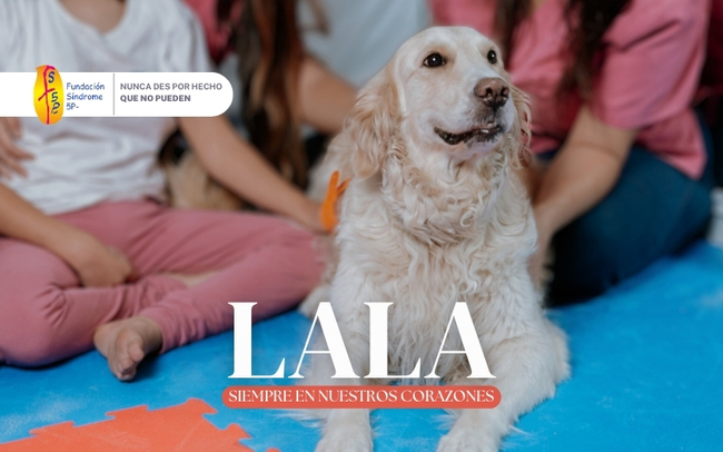 Despedida a Lala, una perra de intervención que dejó huella